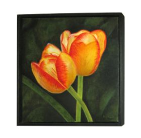 12_tulpen_005.jpg.jpg