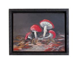 05_paddestoelen_IMG_0142.jpg.jpg